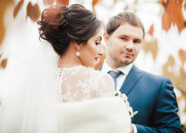 Gelin ve damat onların düğün günü Park  