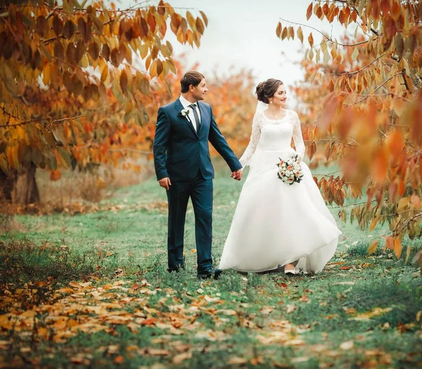 Mariés Jour Leur Mariage Dans Parc — Photo