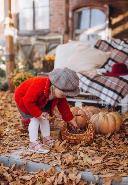 Kleines Mädchen Mit Herbstgelben Blumen Und Gemüse Und Obst Körben — Stockfoto