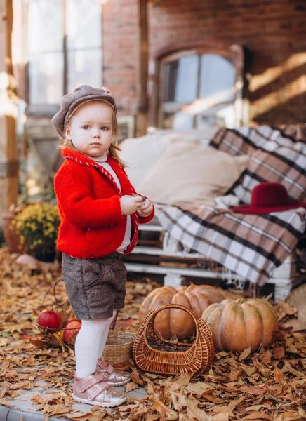 Bambina Con Fiori Ortaggi Gialli Autunnali Frutta Cestini Giardino — Foto Stock