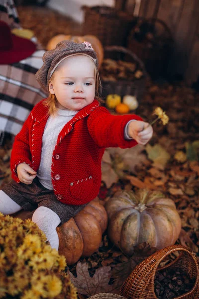 Kleines Mädchen Mit Herbstgelben Blumen Und Gemüse Und Obst Körben — Stockfoto