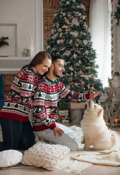 Evde Ile Uyumak Köpek Mutlu Aile Portresi — Stok fotoğraf