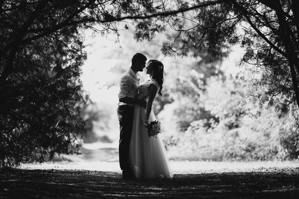 Braut Und Bräutigam Hochzeitstag Park — Stockfoto
