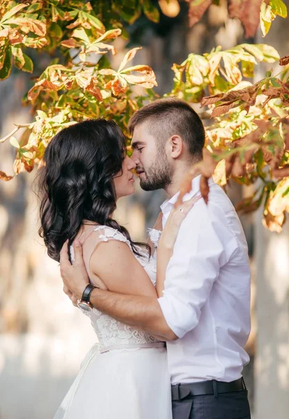 Sposo Sposo Giorno Del Loro Matrimonio Nel Parco — Foto Stock