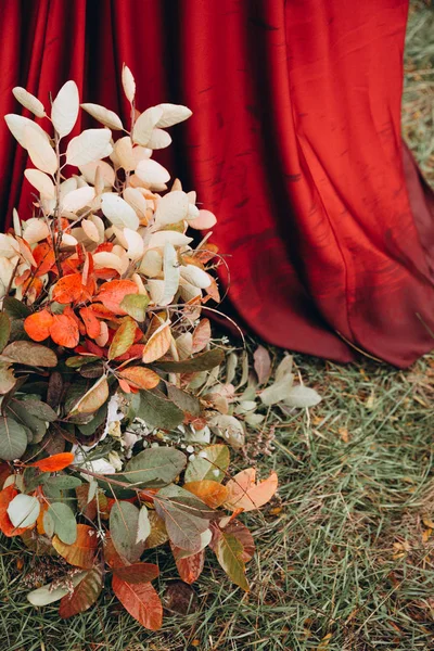 Portrait Belle Jeune Femme Posant Dans Parc Automne — Photo