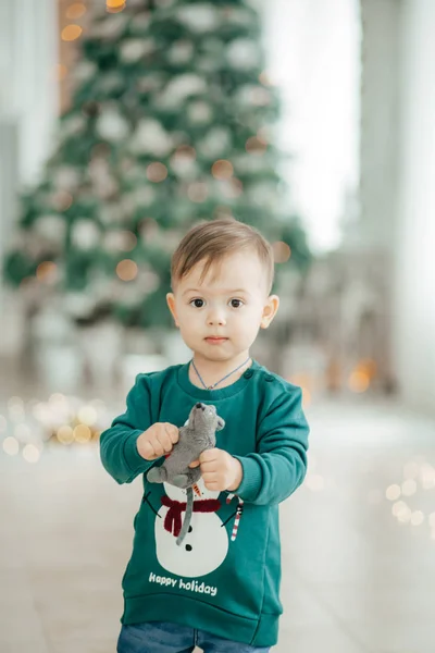 Retrato Menino Feliz Com Interior Decorado Natal — Fotografia de Stock