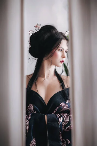 Portrait Une Geisha Japonaise — Photo