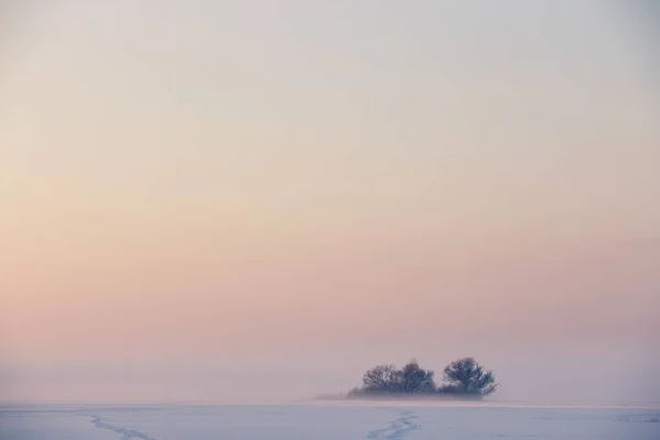 Carte Postale Hiver Conte Fées Sur Lac Gelé — Photo