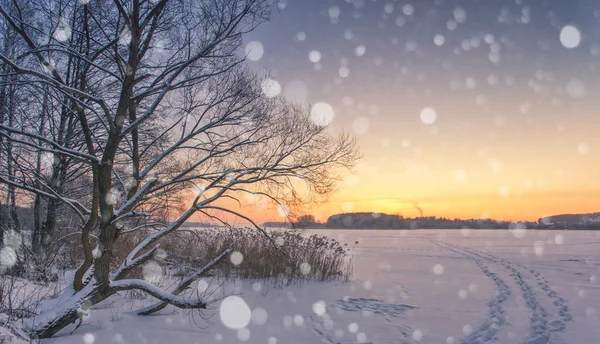 Carte Postale Hiver Conte Fées Sur Lac Gelé — Photo