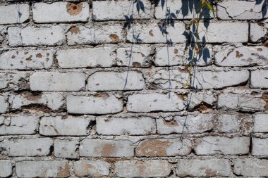 Beyaz eski tuğla wal
