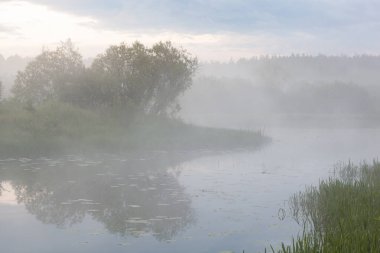 Nehir sabah sisle kaplıydı, kıyıdaki söğüt ağaçları büyüleyiciydi. Sade nehrin güzel manzarası. Doğada mavi renk. Nehrin üzerindeki sabah sisi yüzünden hafif odaklanma.