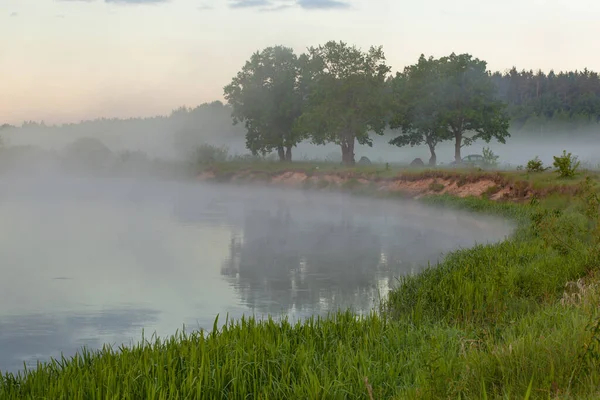 Ποτάμι Πρωί Καλυμμένο Ομίχλη Σαγηνευτικές Ιτιές Στην Όχθη Όμορφο Τοπίο — Φωτογραφία Αρχείου