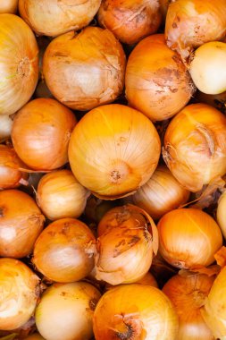 Taze ve olgun soğanlar.