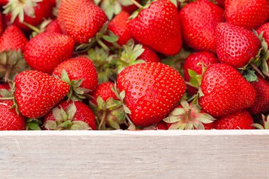 Tahta bir kutuda taze toplanmış çilek. Tahta sandıkta tatlı doğal meyveler.