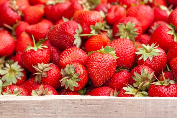 Fragola Appena Raccolta Una Scatola Legno Dolci Frutti Naturali Cassa — Foto Stock