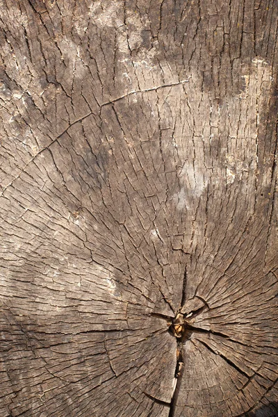 Antigua Superficie Cortada Roble Madera Tonos Cálidos Cálidos Color Marrón — Foto de Stock