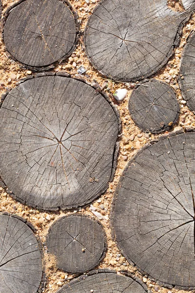 Árbol tocones fondo árboles corte sección madera textura de árbol lindo tronco — Foto de Stock