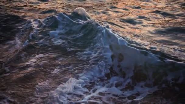 Sea surf at evening time — Stock Video