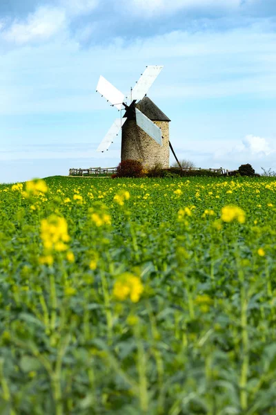 Alte Traditionelle Normannische Windmühle Auf Dem Feld Normandie Franken — Stockfoto