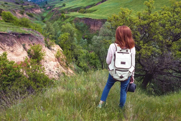 伝統的なウクライナ Landscap の背景に少女の散歩 — ストック写真