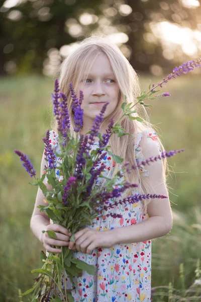 Léto Krásná Dívka Louce Kyticí Salvi — Stock fotografie