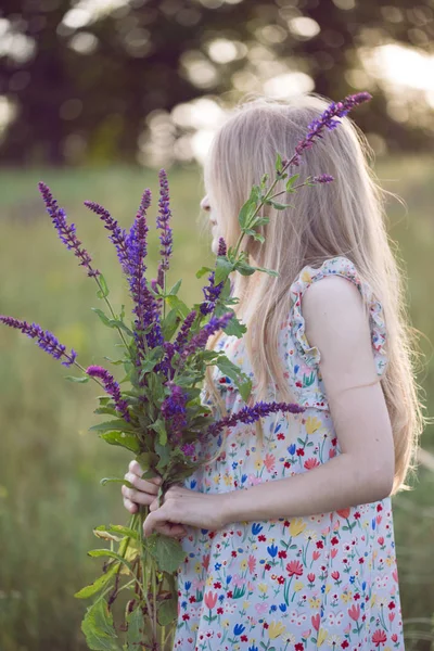 꽃다발 초원의 아름다운 — 스톡 사진