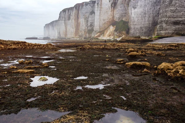 View Magical Beautiful Landscapes Cliff Etretat Low Tide Cloudy Day — Stock Photo, Image