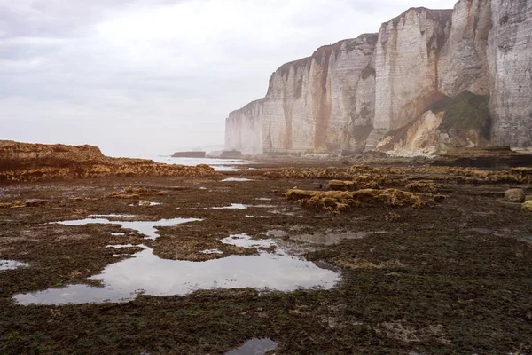 View Magical Beautiful Landscapes Cliff Etretat Low Tide Cloudy Day — Stock Photo, Image
