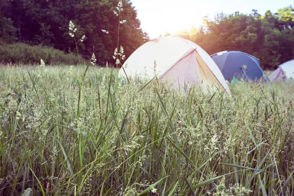 Sommer Und Aktivsport Zelte Stehen Auf Einer Wiese — Stockfoto