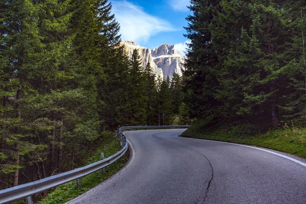 Leere Straße Den Bergen Durch Den Kiefernwald Dolomiten Berge Ital — Stockfoto