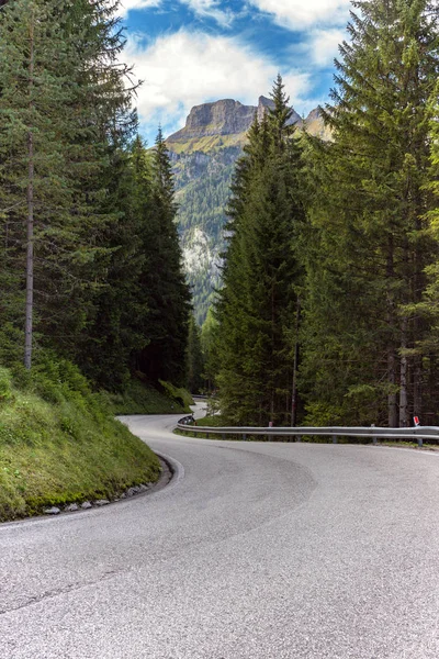 Camino Sinuoso Vacío Las Montañas Través Del Bosque Pinos Dolomitas —  Fotos de Stock