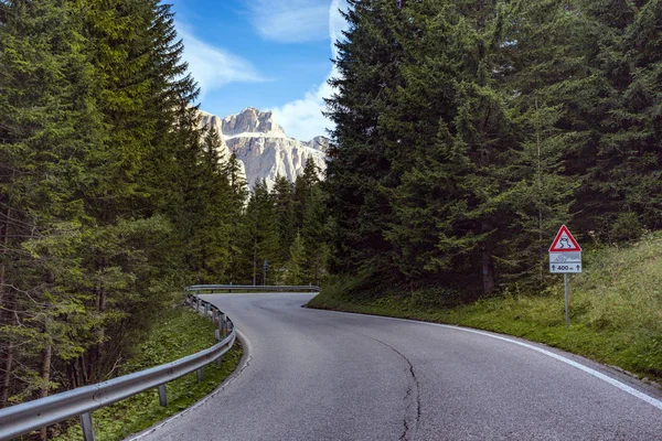 Leere Straße Den Bergen Durch Den Kiefernwald Dolomiten Berge Ital — Stockfoto