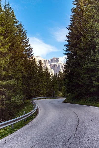 Empty Winding Road Mountains Pine Forest Dolomites Mountains Ital — Stock Photo, Image