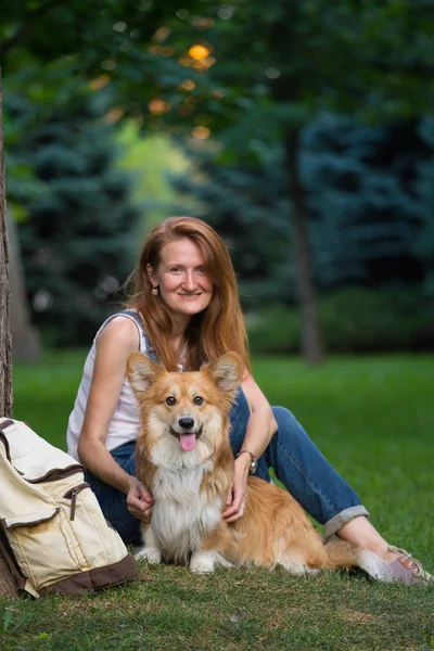 Summer Portrait Corgi Fluffy His Owne — Stock Photo, Image