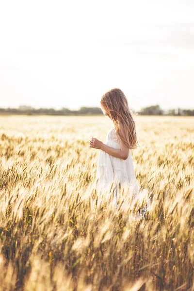 Feliz Verano Libertad Hermosa Niña Campo Trigo Soleado —  Fotos de Stock