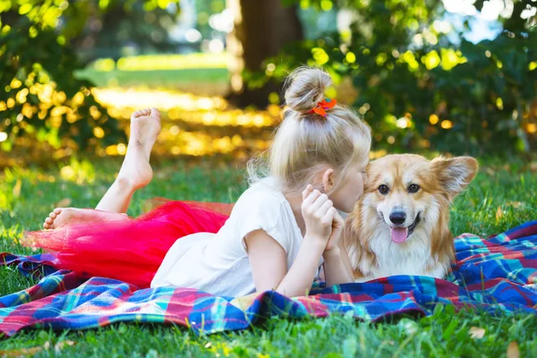 幸せな楽しい休日 美しいブロンドの女の子とコーギーの日当たりの良い夏の の芝生の上にふわふわ — ストック写真
