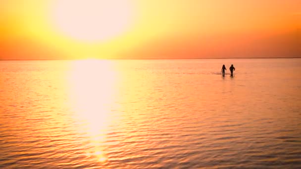Crianças Caminhando Pelo Mar Hora Pôr Sol — Vídeo de Stock