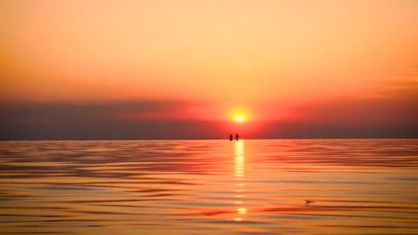 Crianças Caminhando Pelo Mar Hora Pôr Sol — Vídeo de Stock