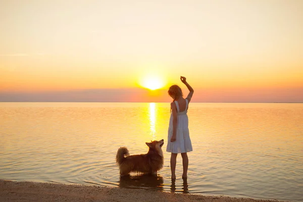 幸せな週末少女が犬を連れて歩いて 海で夕暮れ時 アゾフ海 Ukrain でウクライナの風景 — ストック写真