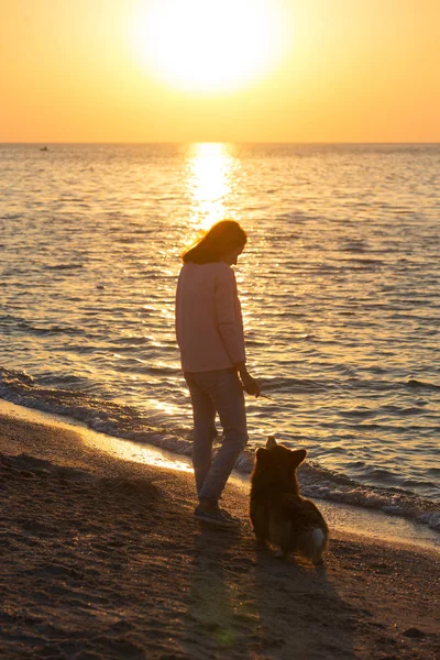 ビーチで犬と女の子の幸せな週末 アゾフ海 Ukrain でウクライナの風景 — ストック写真