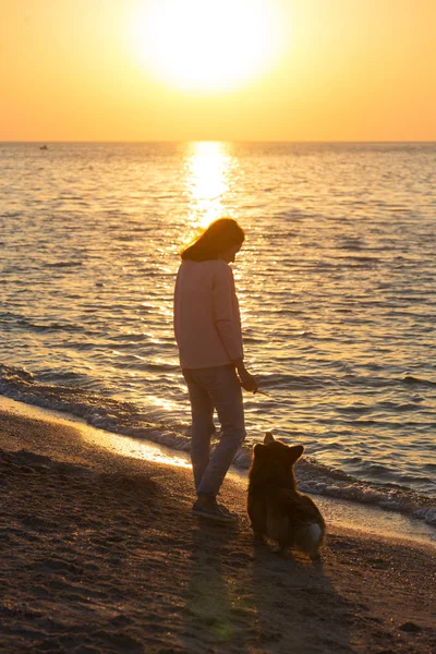 Fine Settimana Felice Riva Mare Ragazza Con Cane Sulla Spiaggia — Foto Stock