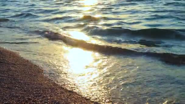 Beautiful Sea Surf Sunrise Time Close — Stock Video