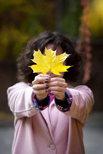 Żółty Liść Klonu Rękach Dziewczynki Autum — Zdjęcie stockowe
