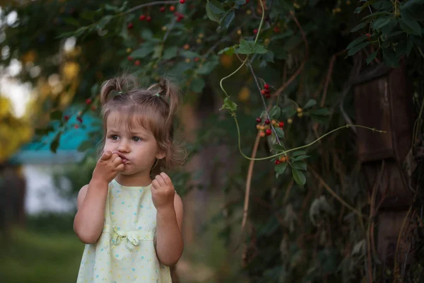 Dziewczynka Zjada Cherry Ogrodzie Summe — Zdjęcie stockowe