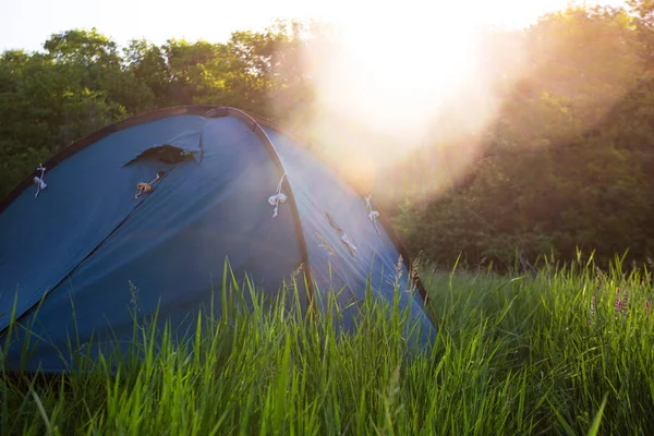 夏季和积极的运动 帐篷站在 Meado — 图库照片