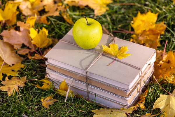 Soon School Concept Teaching Education Books Apple Lie Grass Yellow — Stock Photo, Image