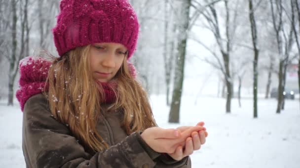 冬の公園で雪の結晶をキャッチの女の子 — ストック動画