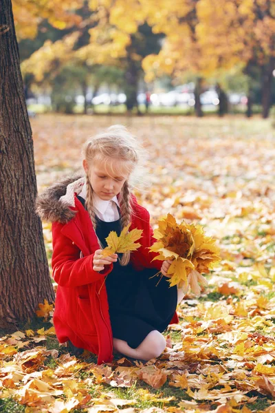 Lycklig Skolflicka Promenader Parken Höst Dag Med Bukett Lönn Lämnar — Stockfoto