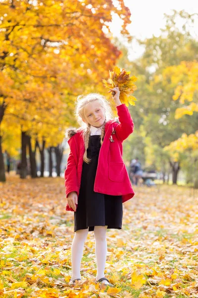Happy Schoolgirl Walking Park Fall Day Bouquet Maple Leaves Autumn — Stock Photo, Image