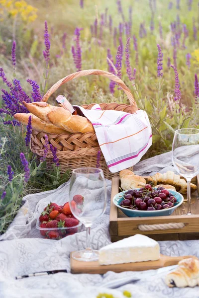 stock image Summer - picnic in the meadow. Cheese brie, baguette, strawberry, cherry, wine, croissants and baske